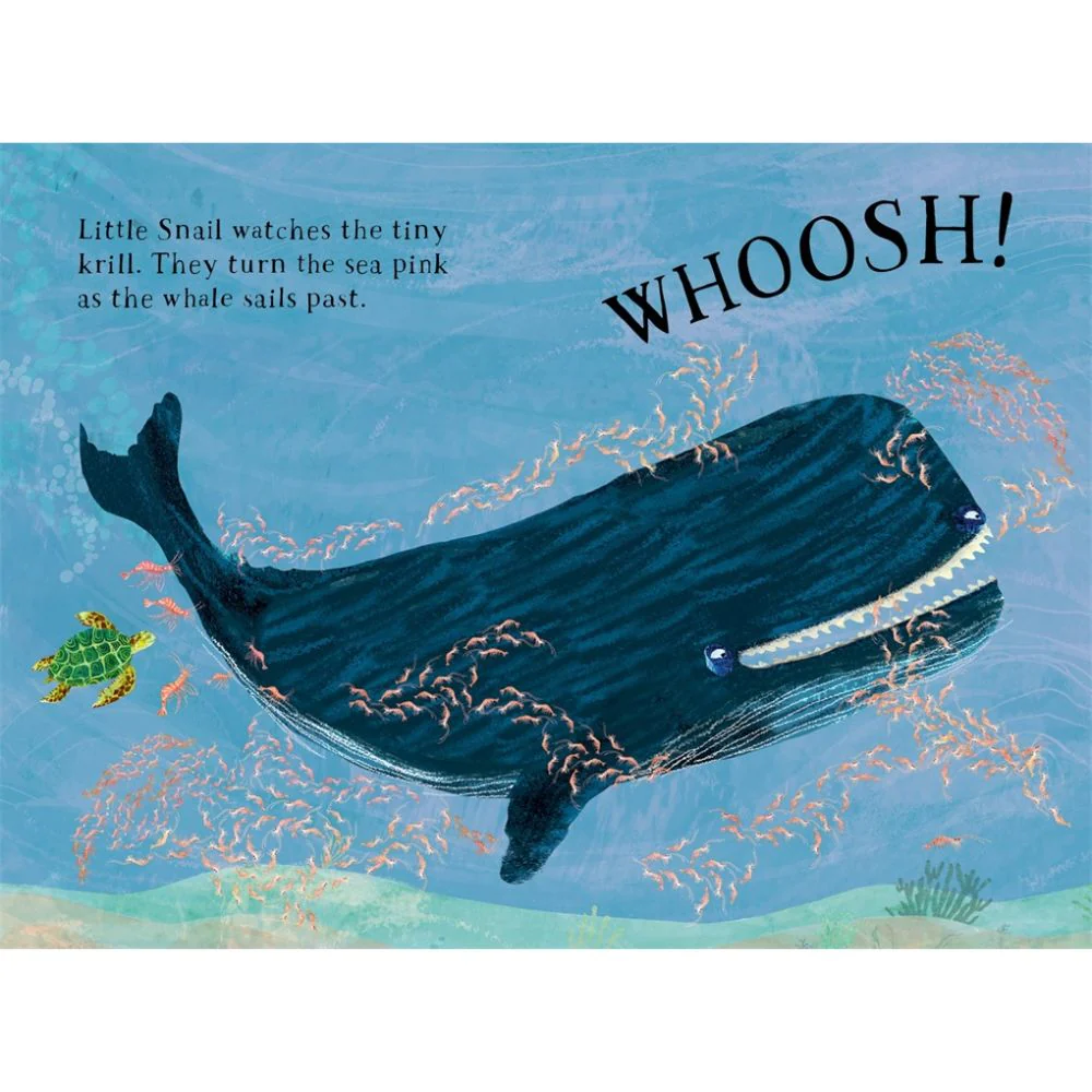 Little Turtle's Book of the Blue - Image 3