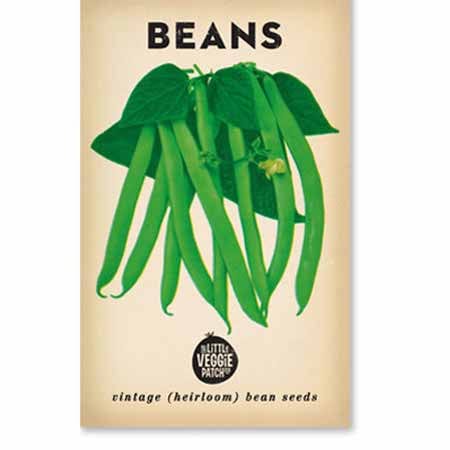 Little Veggie Patch Heirloom Seeds - Beans (Windsor Long Pod)