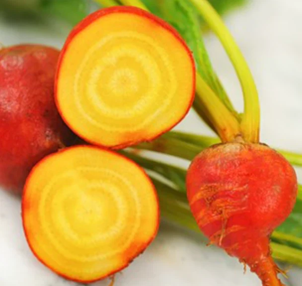 Little Veggie Patch Heirloom Seeds - Beetroot (Golden Boy) - Image 2