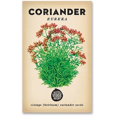 Little Veggie Patch Heirloom Seeds - Coriander (Eureka)