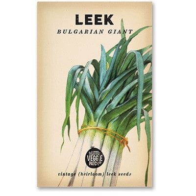 Little Veggie Patch Heirloom Seeds - Leek (Bulgarian Giant)