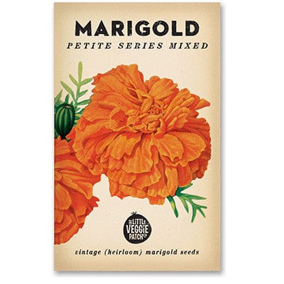 Little Veggie Patch Heirloom seeds - Marigold (Petite Mixed)