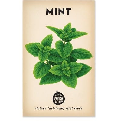 Little Veggie Patch Heirloom Seeds - Mint (Peppermint)