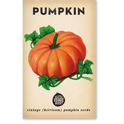 Little Veggie Patch Heirloom Seeds - Pumpkin (Small Sugar)