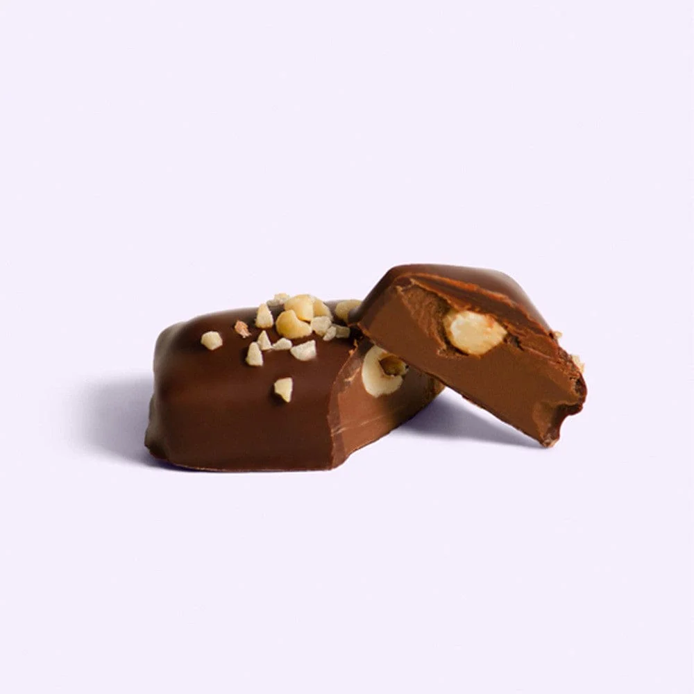 Loco Love Hazelnut Butter Praline Vegan Chocolate - Single 35g - Image 3
