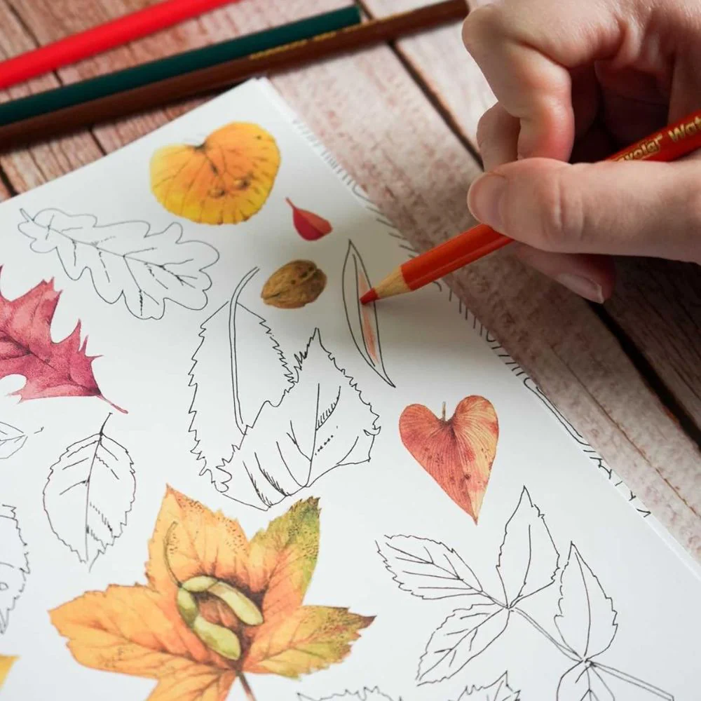 Magical Nature: Coloring Pages for Relaxation and Happiness - Image 2
