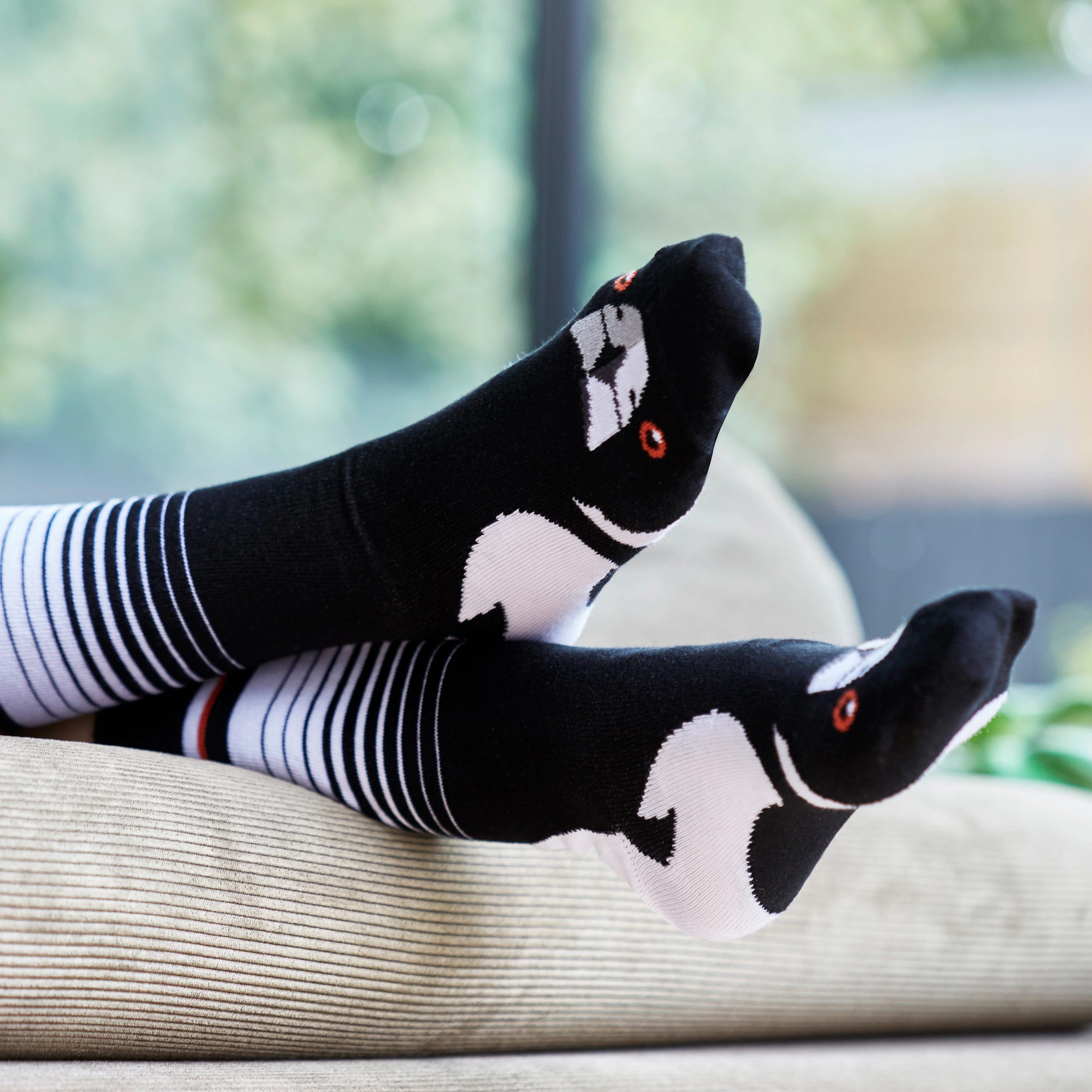 Wilson Payne Down Under Socks - Magpie - Image 3