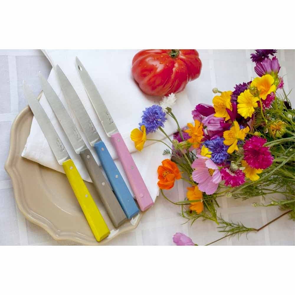 Opinel Bon Appetit No.125 Stainless Steel Table Knife Set 4pc - Countryside - Image 3