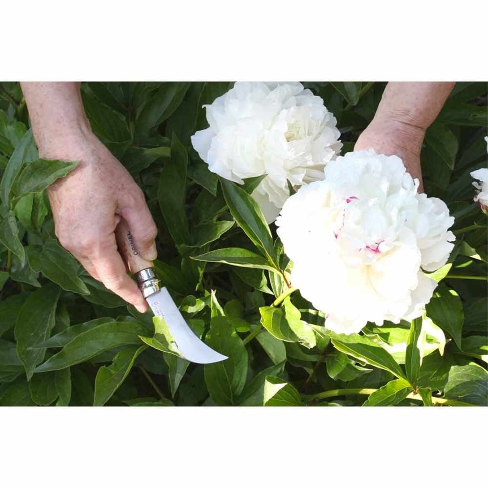 Opinel No.08 Stainless Steel Pruning & Grafting Knife in Box - Image 2