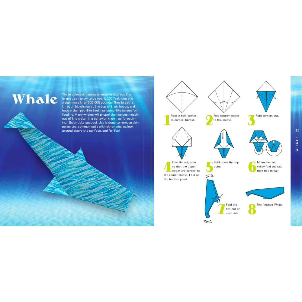 Origami Aquarium Kit - Image 3