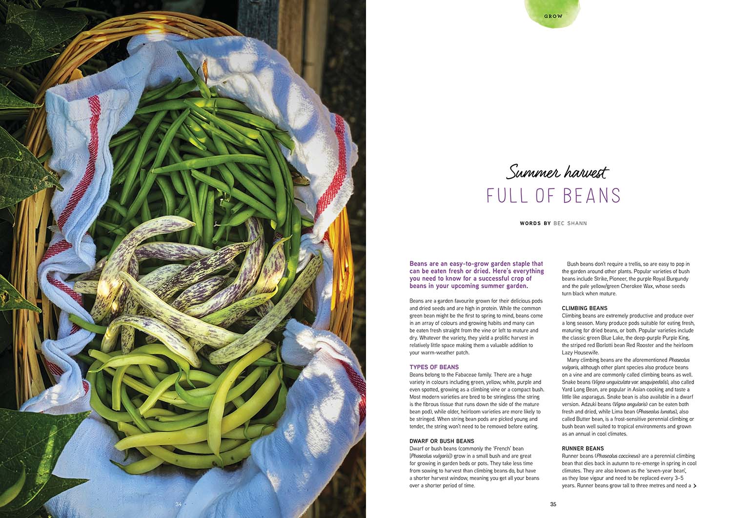 Pip Magazine - Issue 33 - Image 2