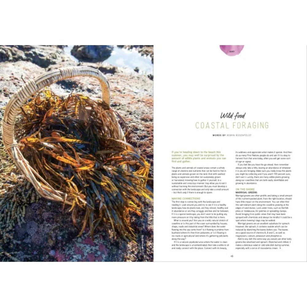 Pip Magazine - Issue 34 - Image 2