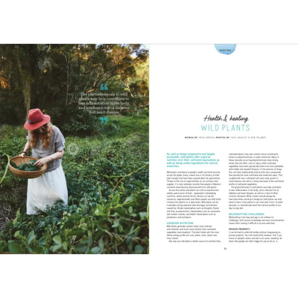 Pip Magazine - Issue 34 - Image 4