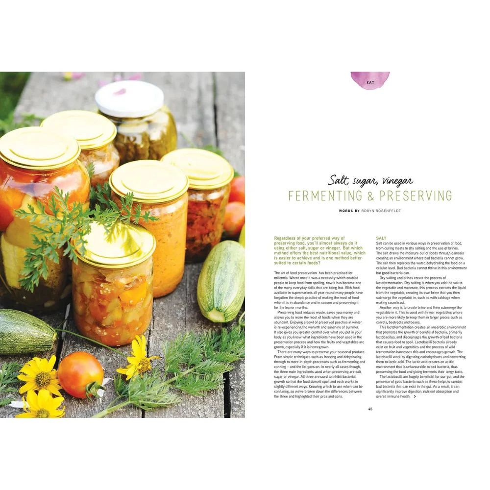 Pip Magazine - Issue 35 - Image 2