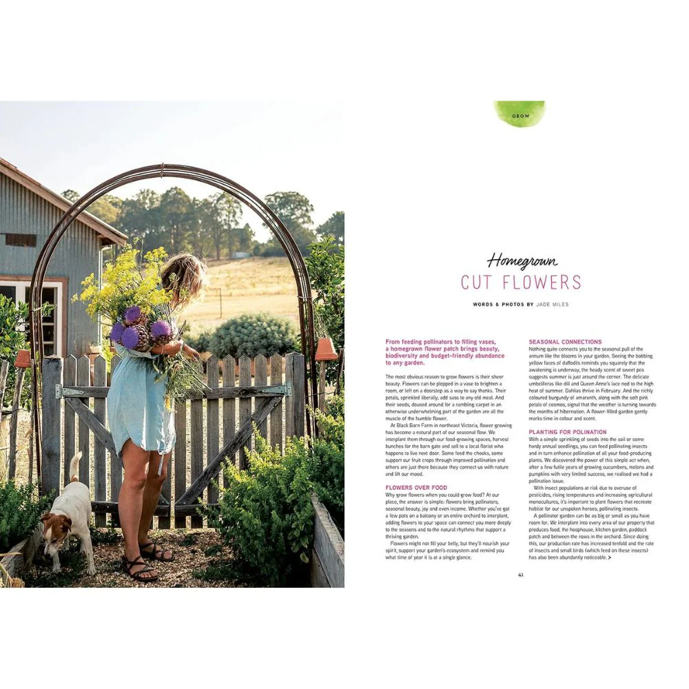 Pip Magazine - Issue 37 - Image 3