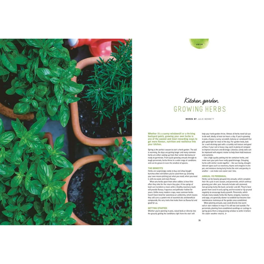 Pip Magazine - Issue 37 - Image 4