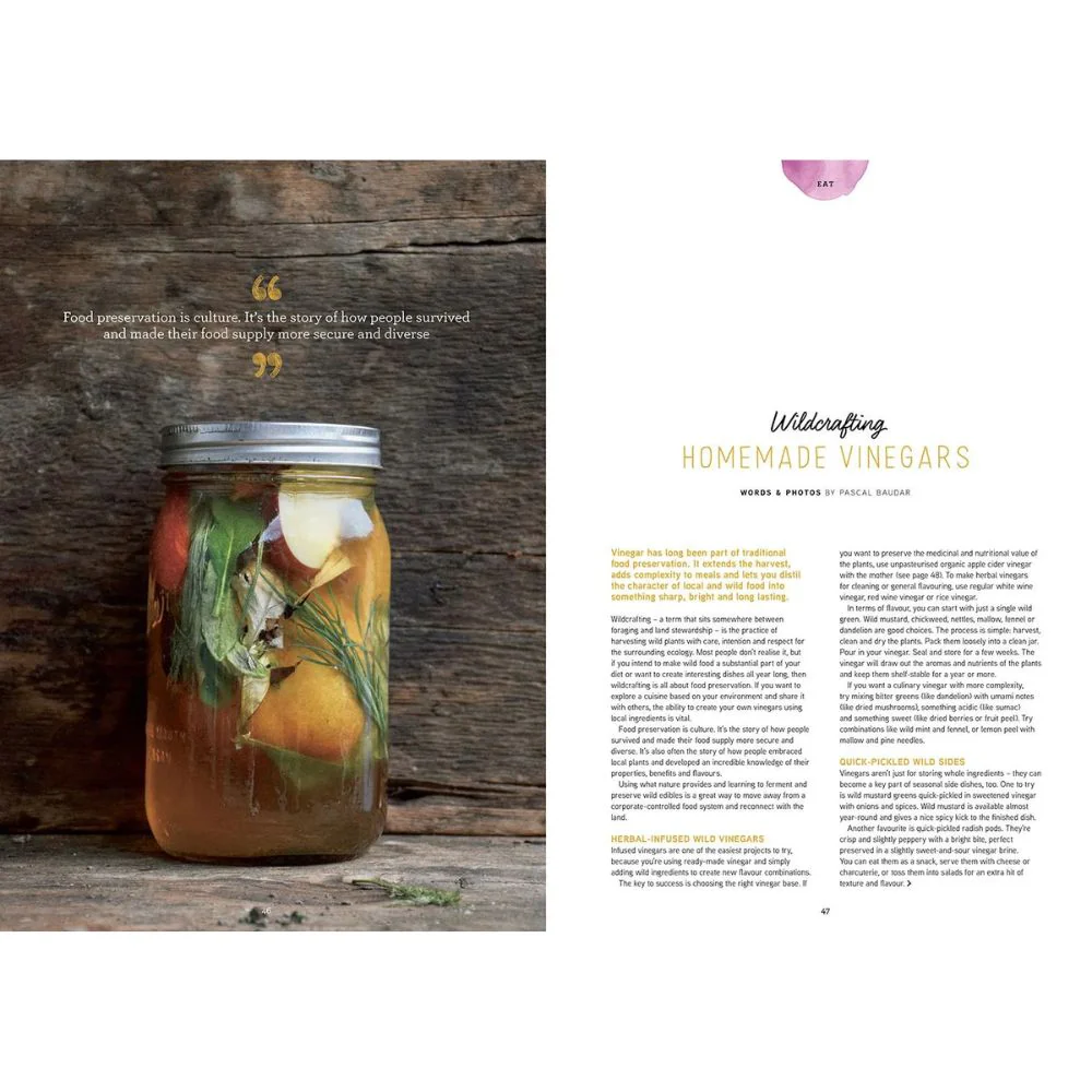 Pip Magazine - Issue 37 - Image 5