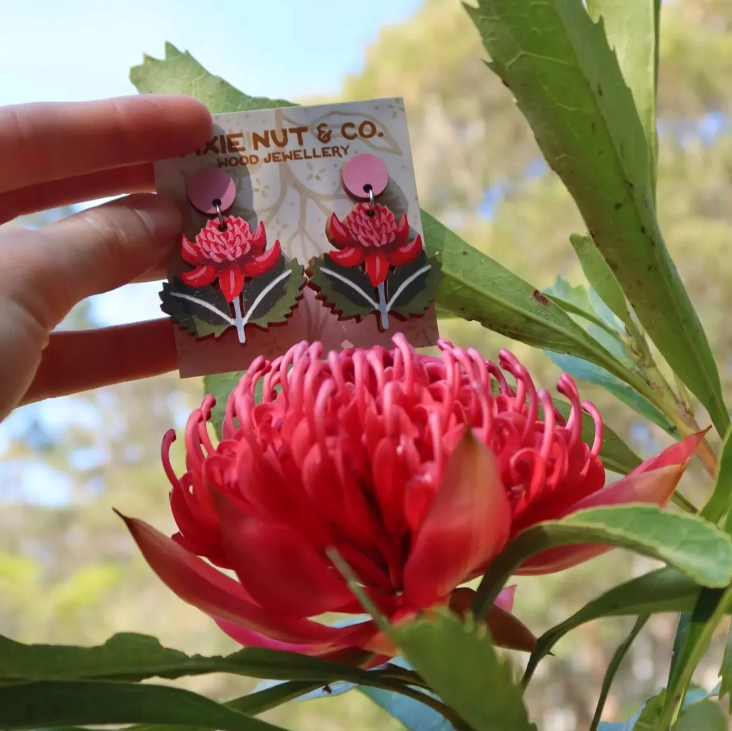 Pixie Nut & Co. Waratah Earrings - Image 3