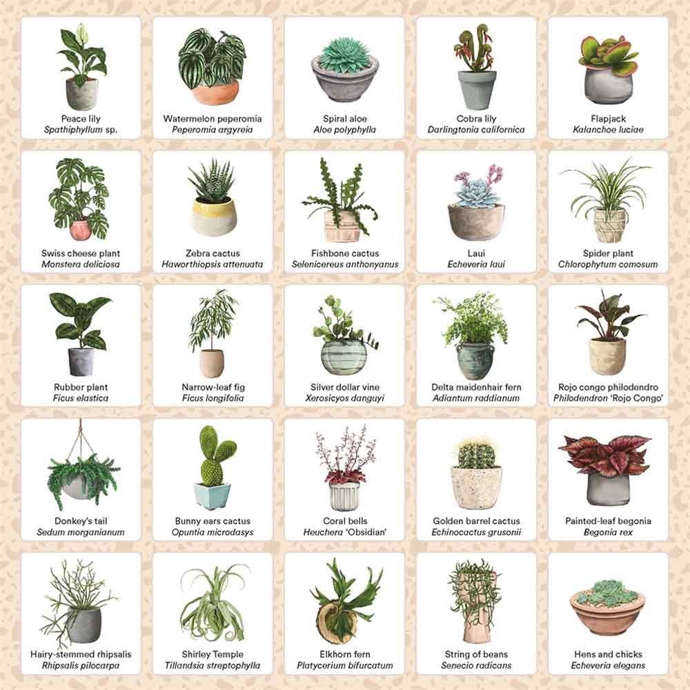 Plant Bingo Game - Image 3