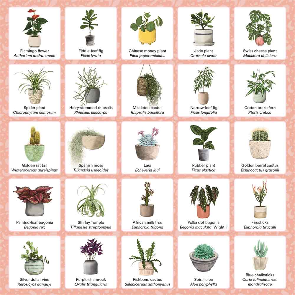 Plant Bingo Game - Image 4