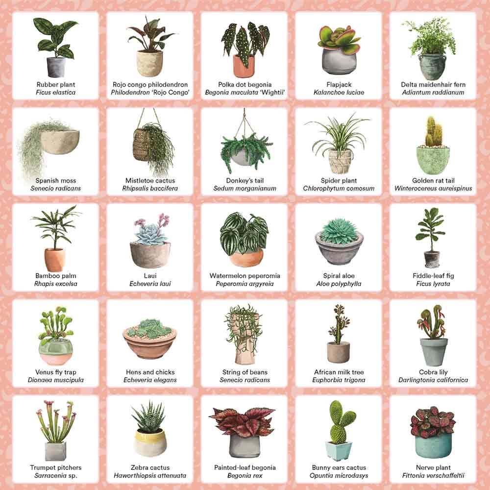 Plant Bingo Game - Image 5