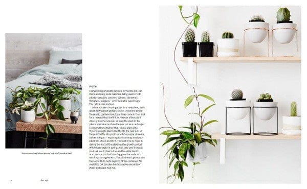 Plant Style - Image 2