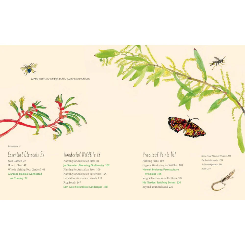 Planting For Native Birds, Bees and Butterflies - Image 2