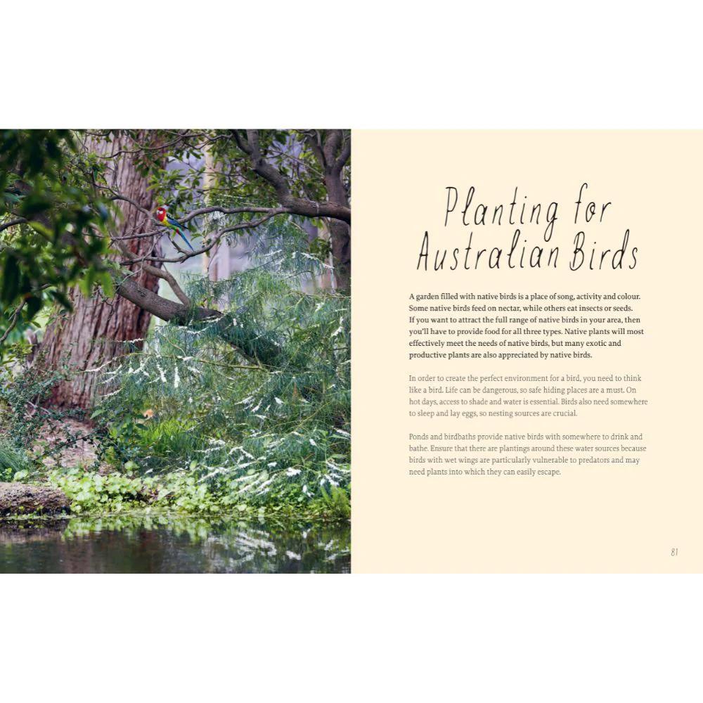 Planting For Native Birds, Bees and Butterflies - Image 4