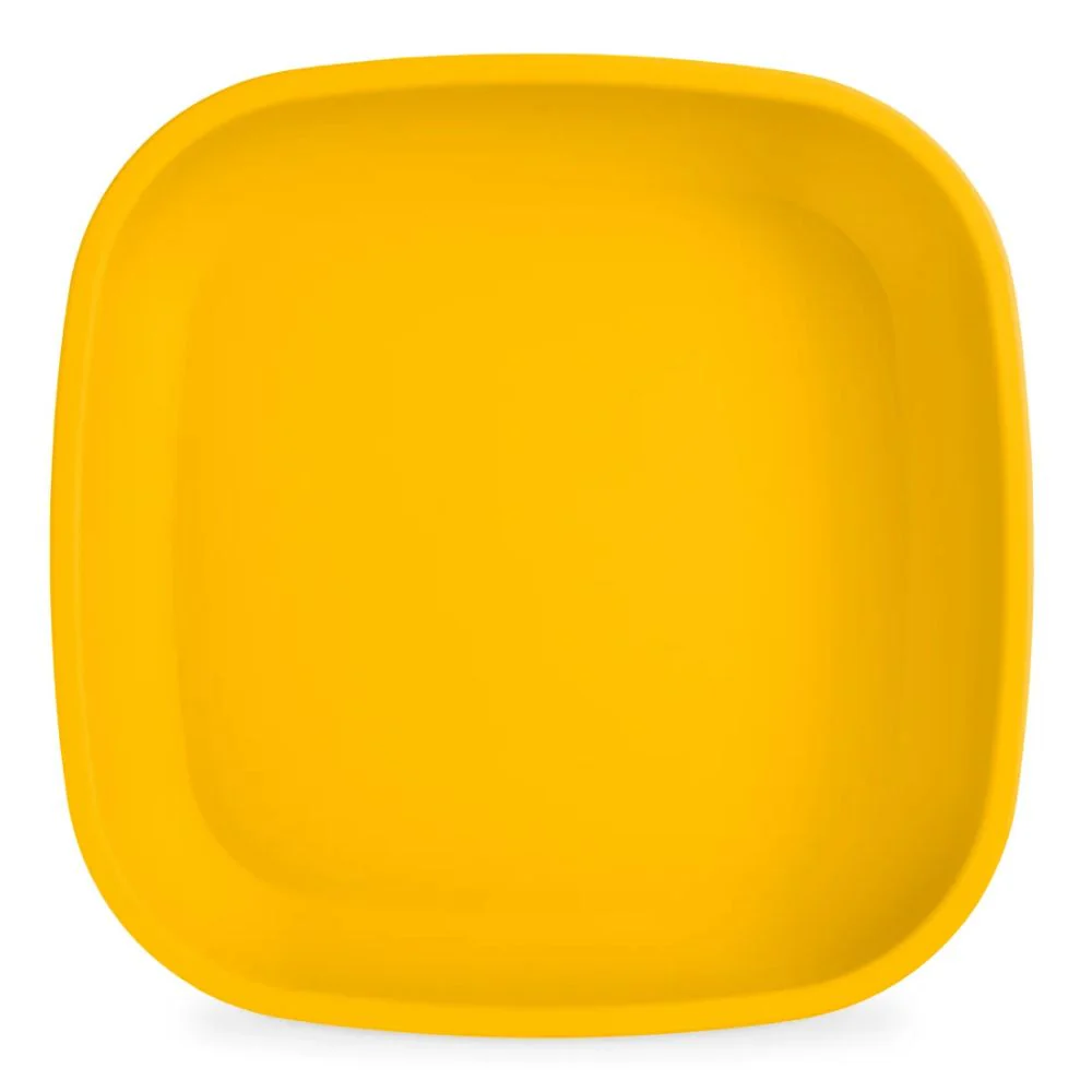 Re-Play Flat Plate Single - Image 20