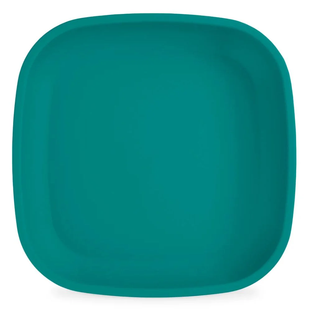 Re-Play Flat Plate Single - Image 21