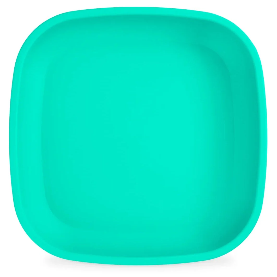 Re-Play Flat Plate Single - Image 25