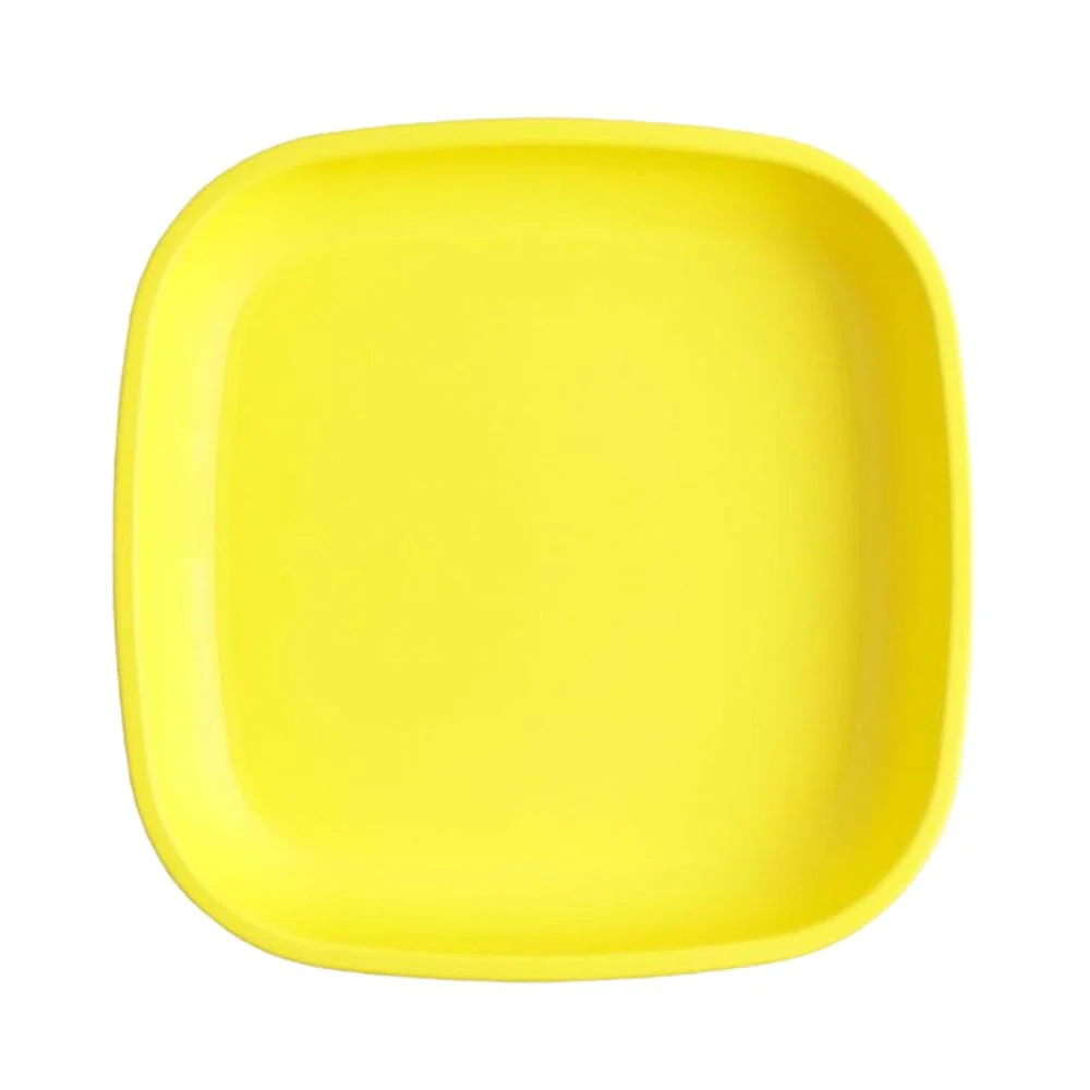 Re-Play Flat Plate Single - Image 7