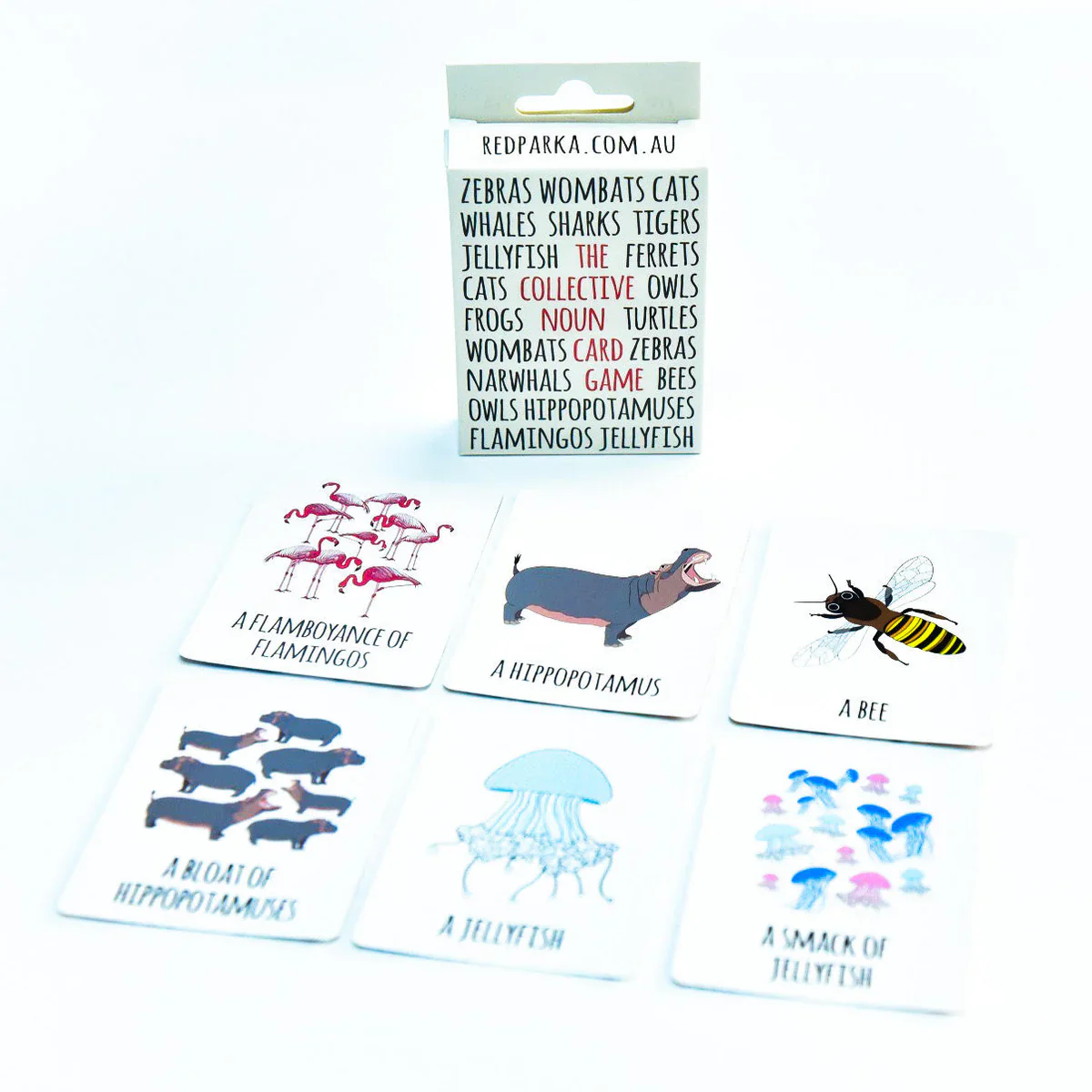 Red Parka Collective Noun Memory Game - Image 3