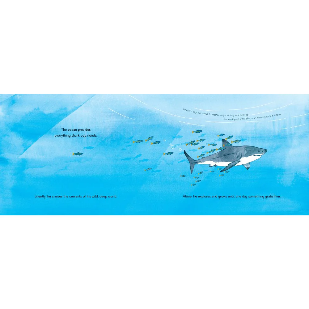 Saving Shark Pup - The Incredible True Story - Image 2