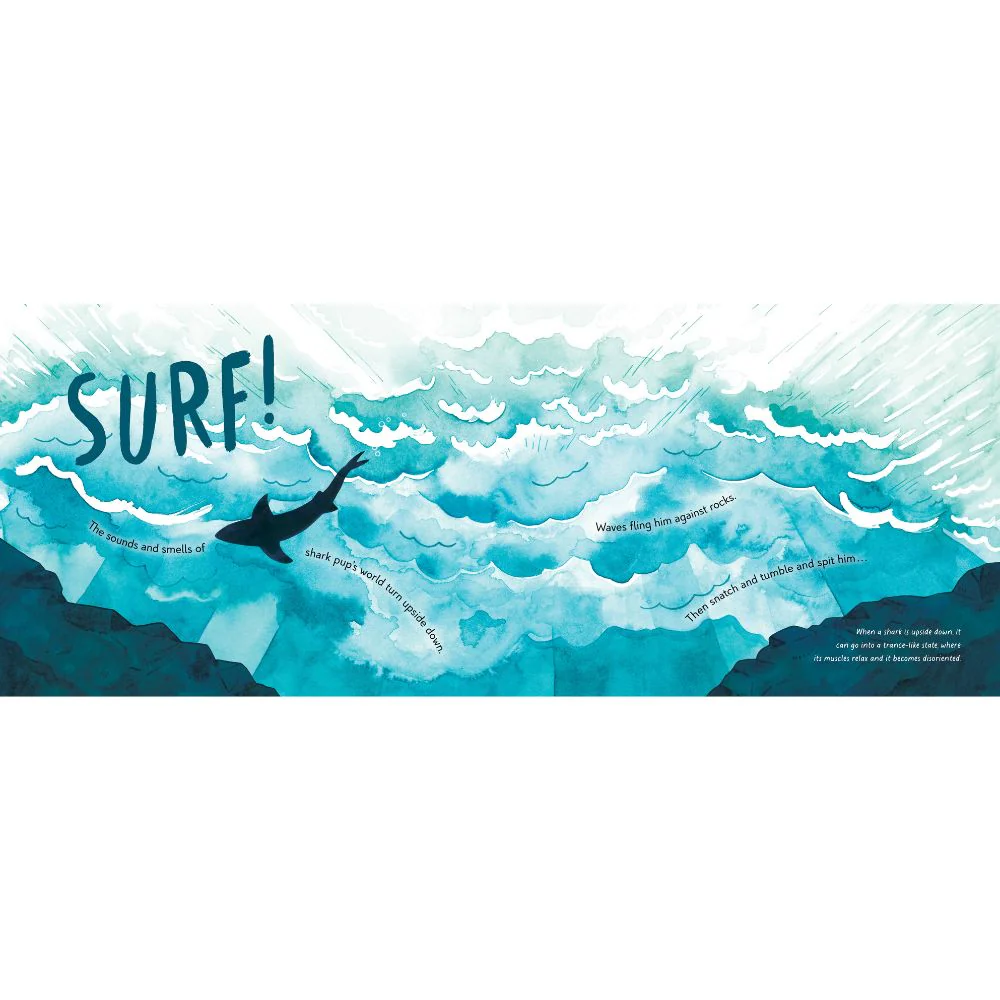Saving Shark Pup - The Incredible True Story - Image 3