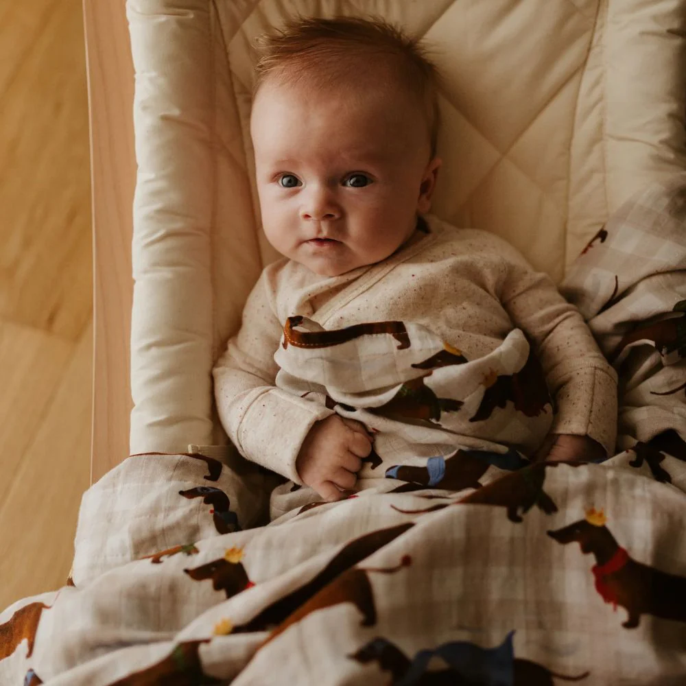 Snug as a Bub & Co. Organic Swaddle - Silly Sausage - Image 3