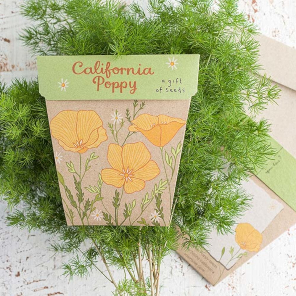 Sow 'n Sow Gift of Seeds Greeting Card - California Poppy - Image 2