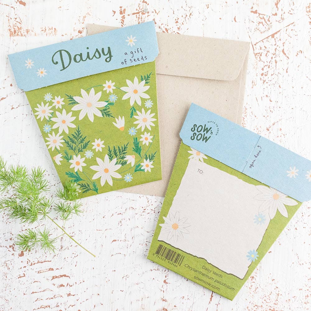 Sow 'n Sow Gift of Seeds Greeting Card - Daisy - Image 2