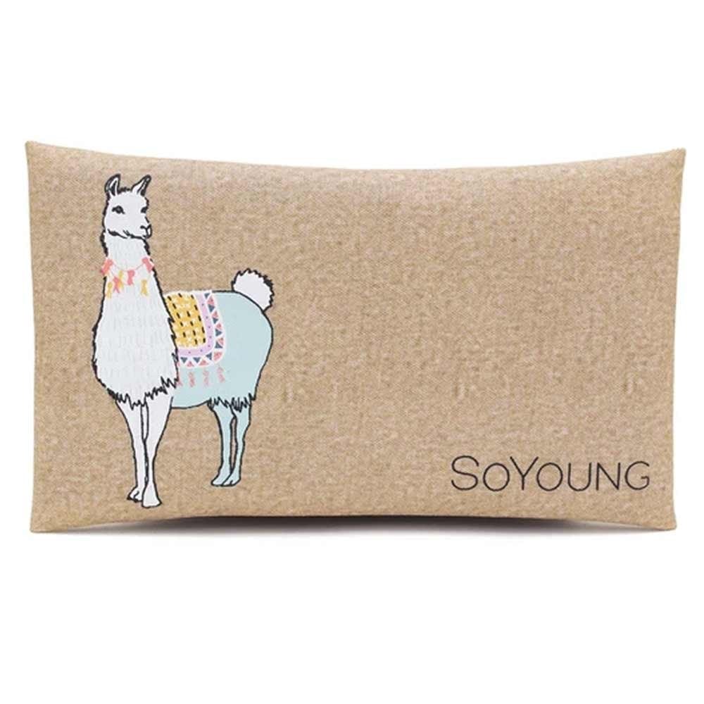 SoYoung No-Sweat Ice Pack for Lunch Boxes - Image 14