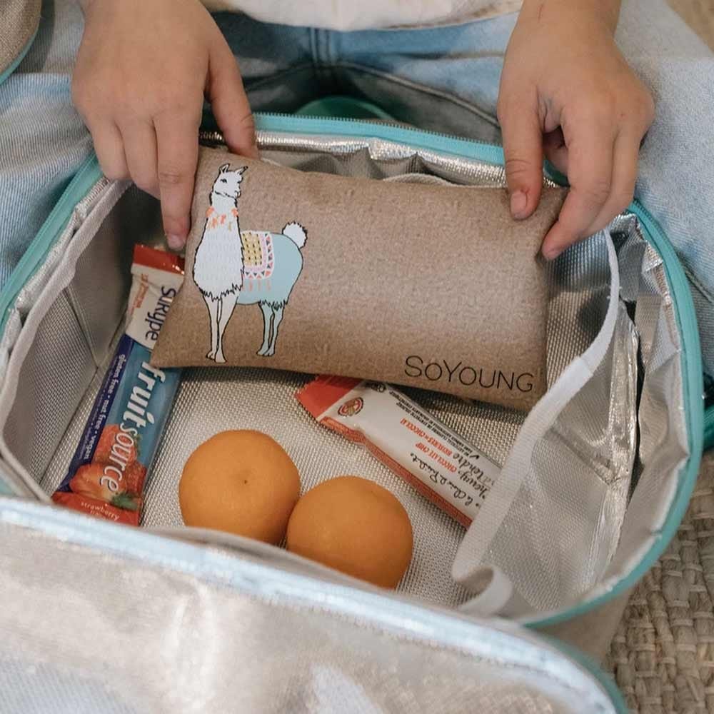 SoYoung No-Sweat Ice Pack for Lunch Boxes - Image 2