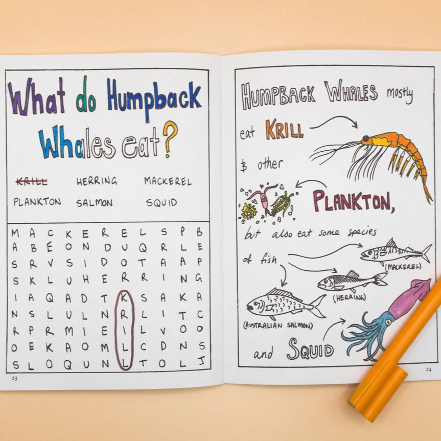 Sunshine Sea Art Activity Book - Whale - Image 4