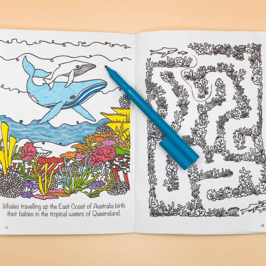 Sunshine Sea Art Activity Book - Whale - Image 5