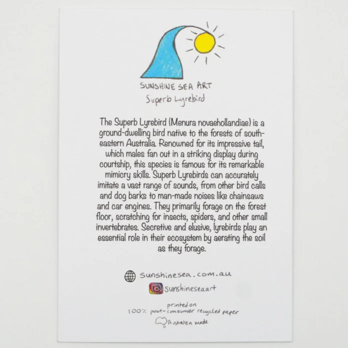 Sunshine Sea Art Greeting Card - Superb Lyrebird - Image 2