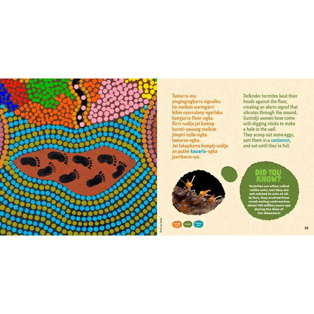 Tamarra: A Story of Termites on Gurindji Country - Image 6