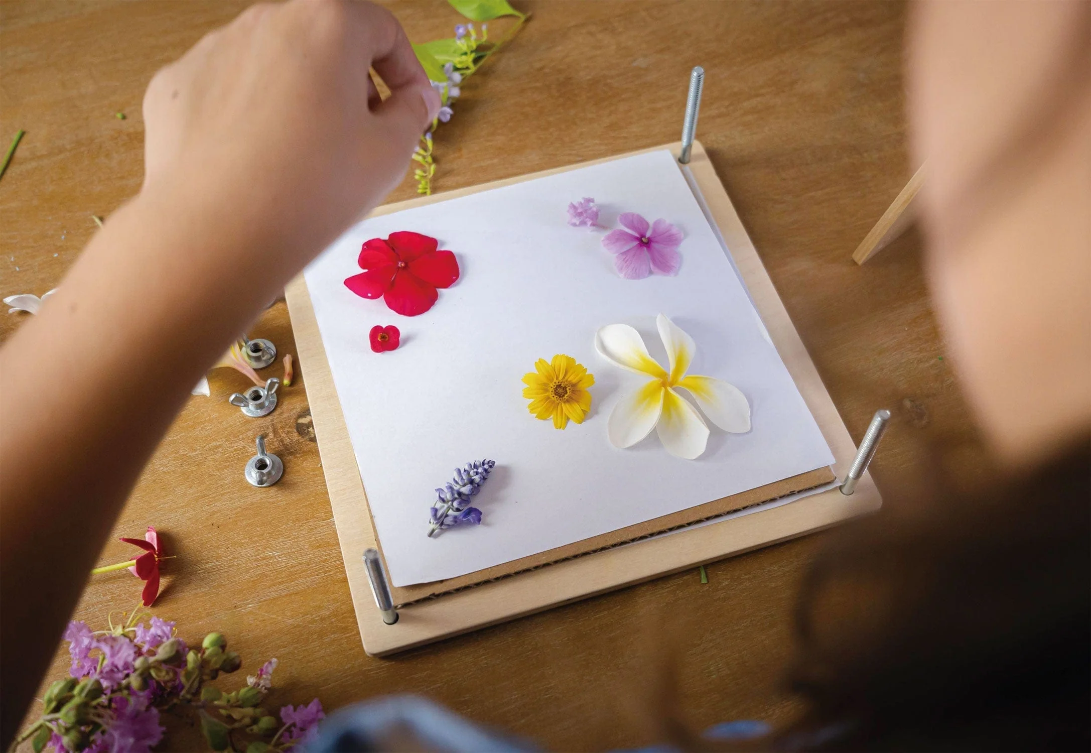 Tender Leaf Toys My Botanical Flower Press - Image 6