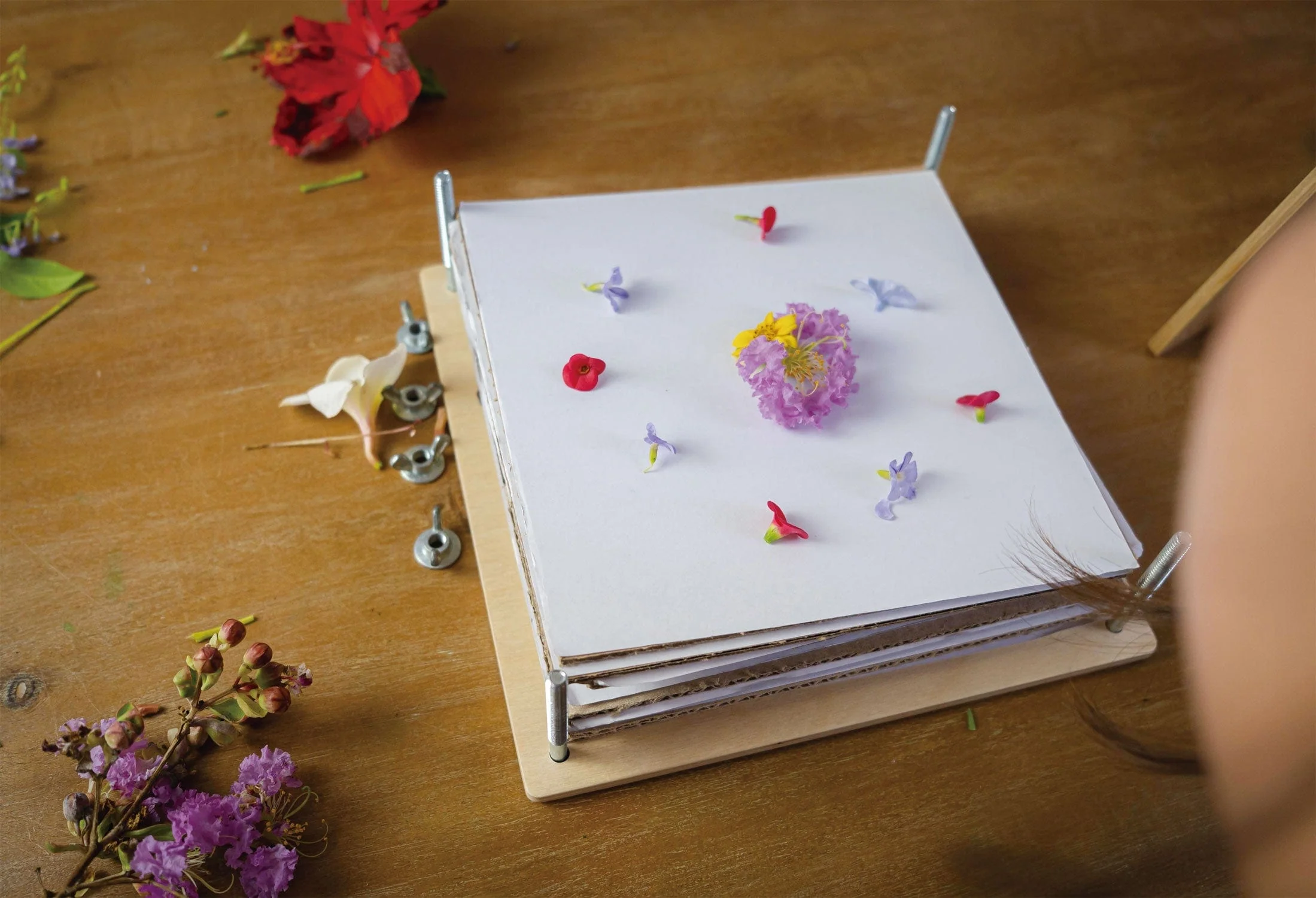 Tender Leaf Toys My Botanical Flower Press - Image 7