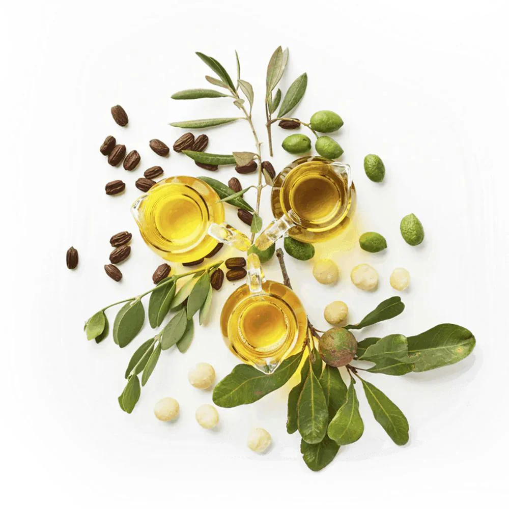 The Jojoba Company Youth Potion 100% Natural Jojoba Blend - Image 3