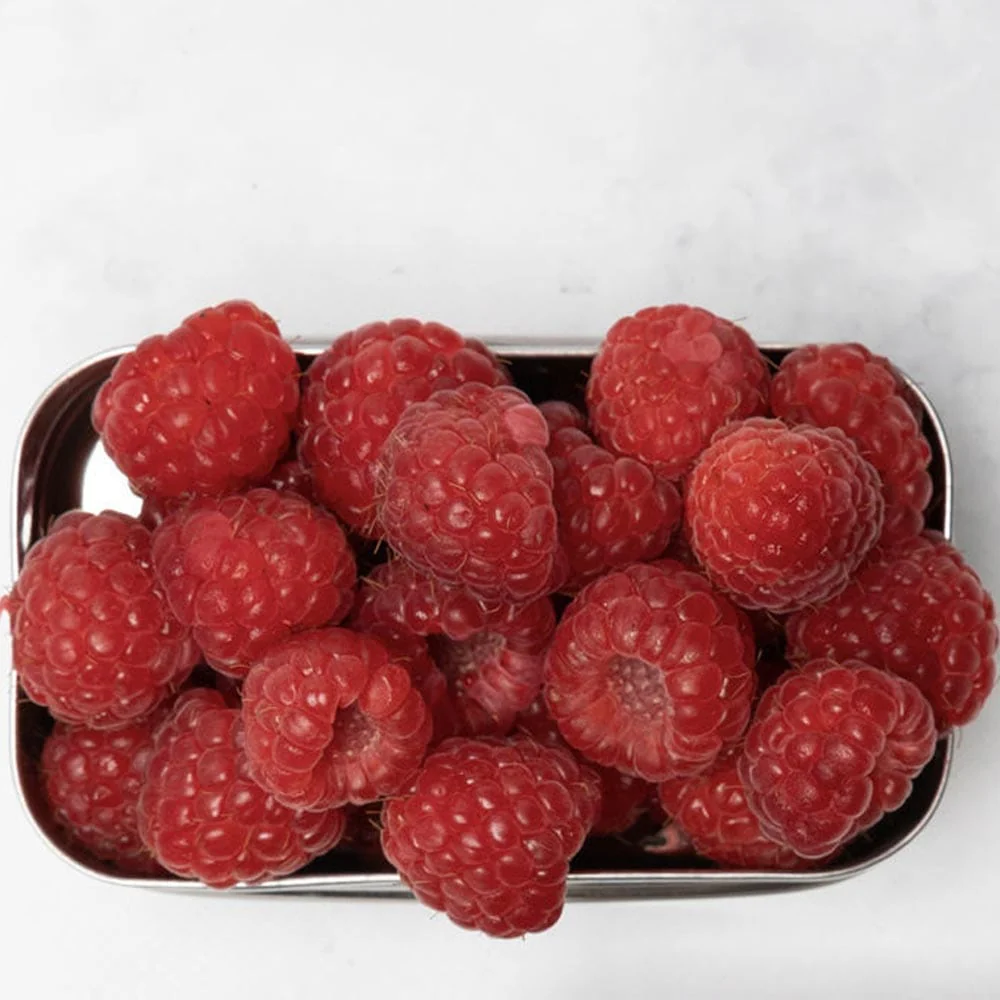 Tiny Tin 100% Stainless Steel Container 150ml - Image 6
