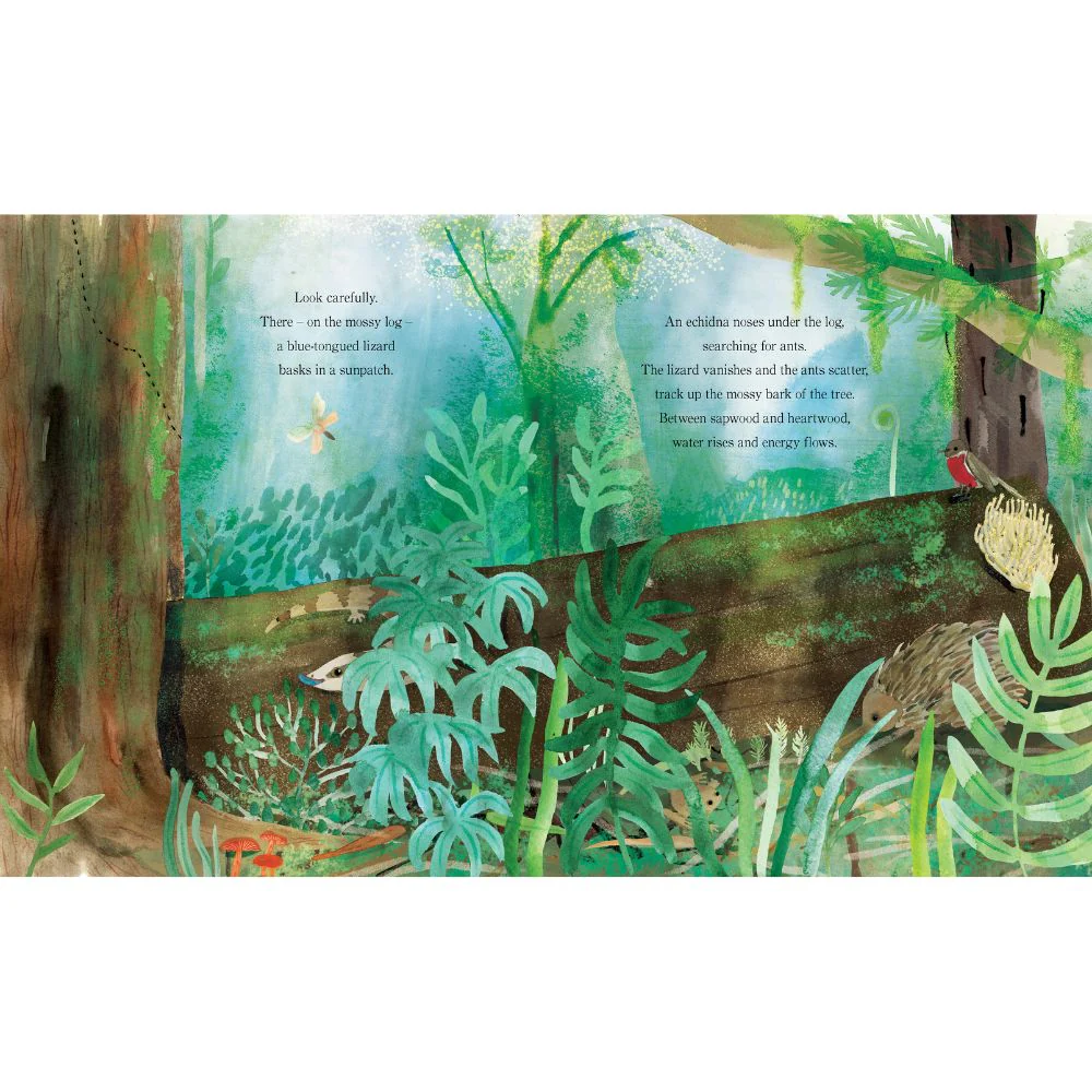 Tree - Image 3