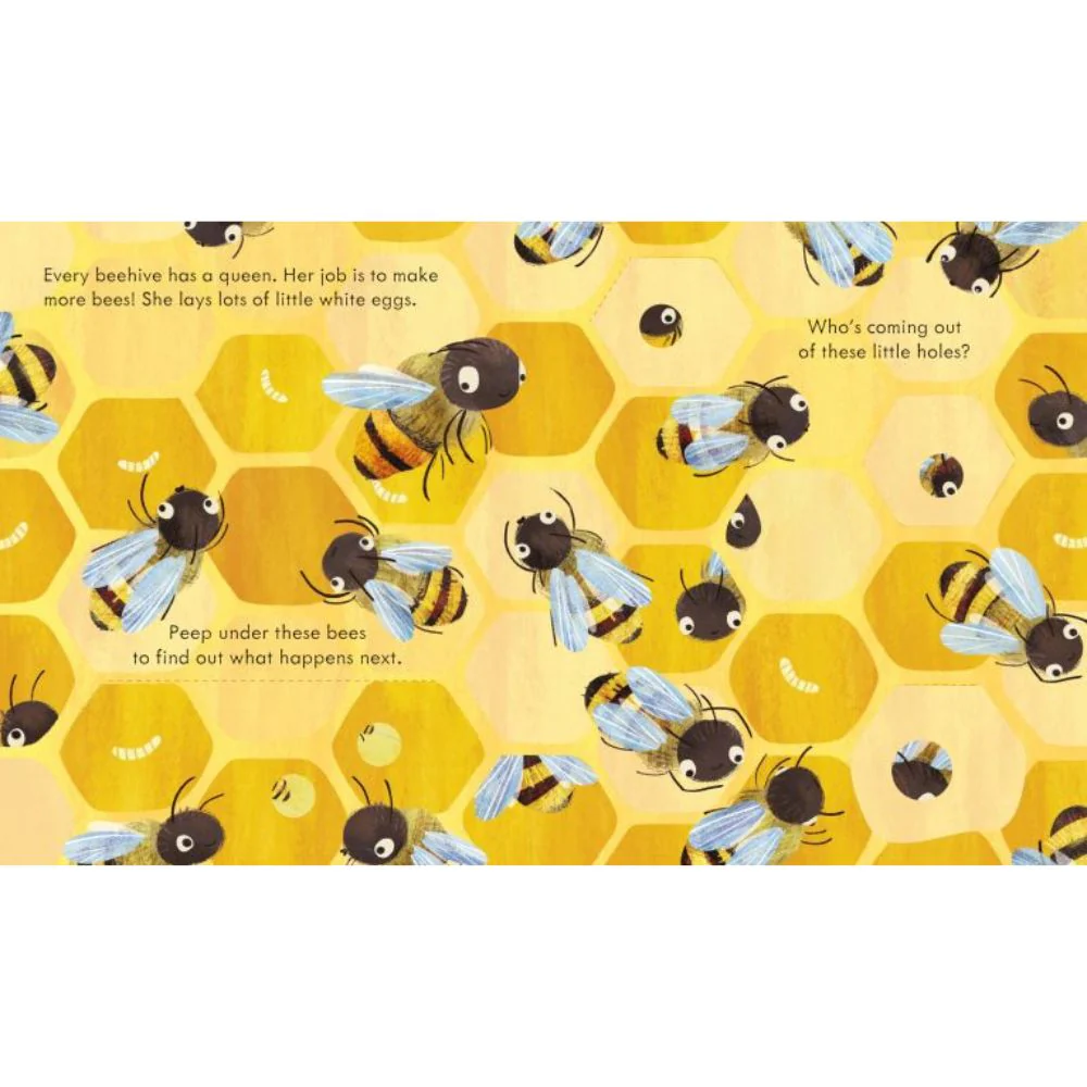 Usborne Peep Inside A Beehive - Image 2